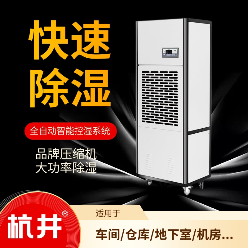 除濕機使用完全指南：什么時候需要除濕機