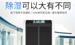清除甲醛需要多管齊下
