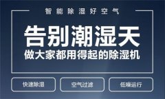 地下室新風除濕機