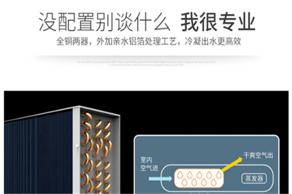 哪個牌子的家用除濕機效果**