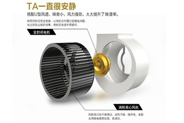 地下健身房除濕機(jī)廠家直銷質(zhì)量可靠